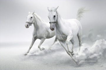 Animal Painting - caballos blanco como la nieve corriendo